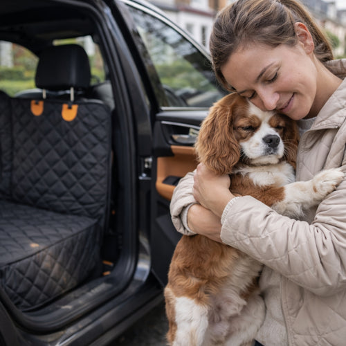 Branton™ Dog Car Mat