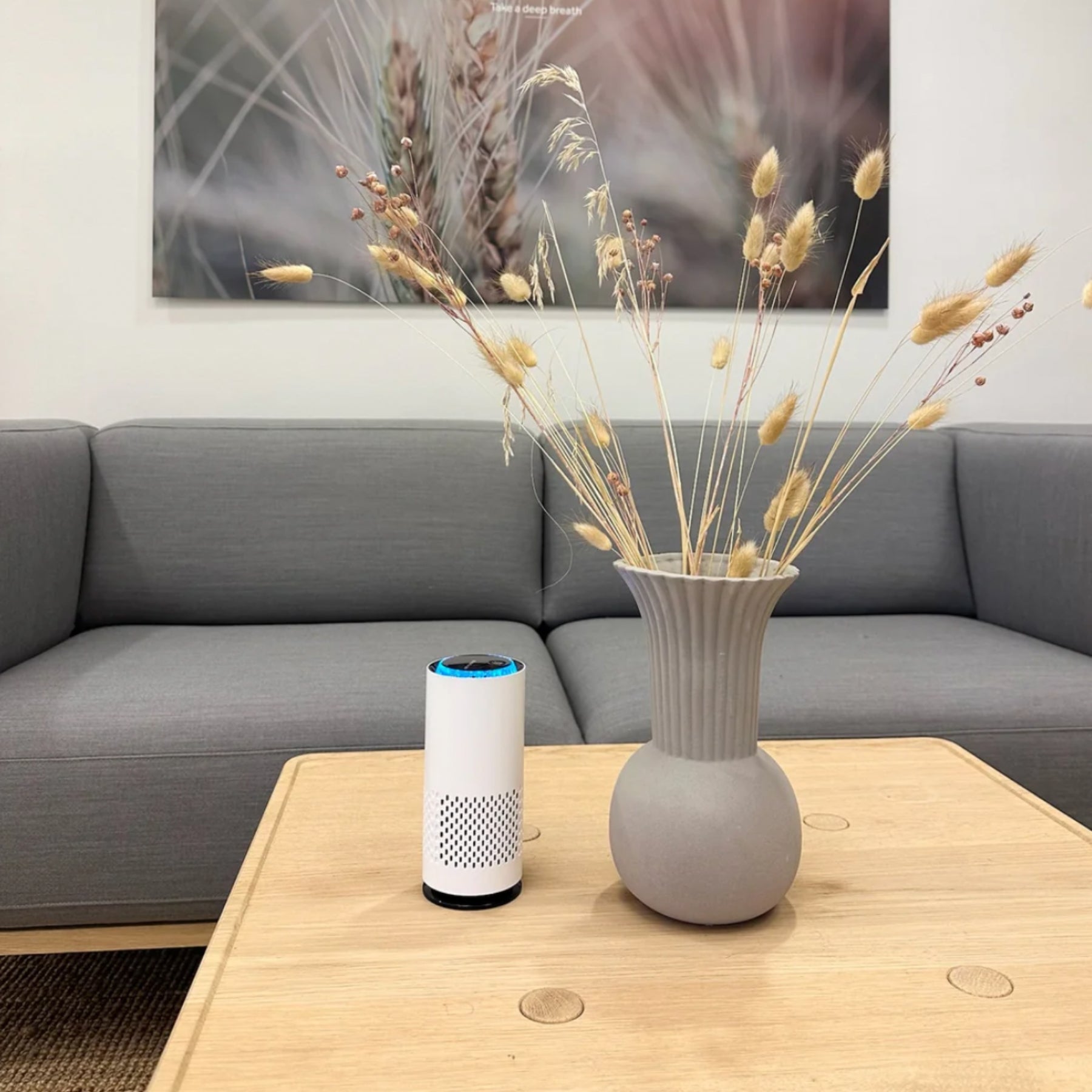 Home Air Purifier with HEPA Filtration – Compact Quiet USB Air Purifier for Bedroom & Office