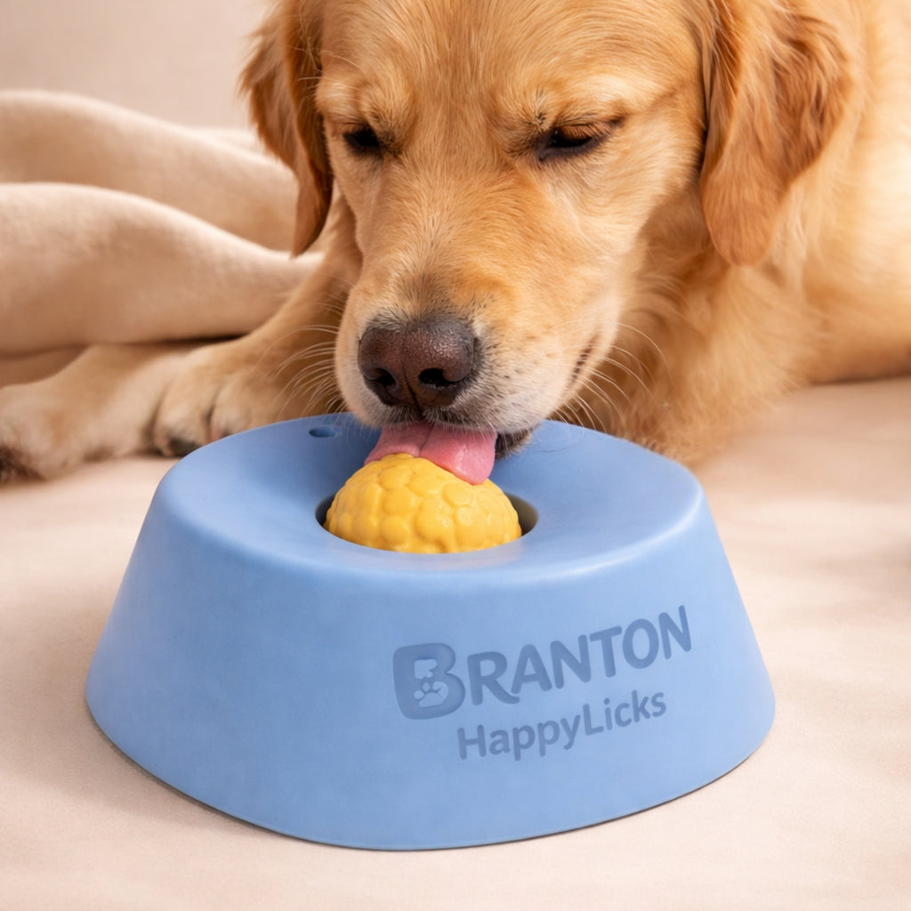 Branton™ HappyLicks Bowl