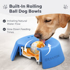Branton™ HappyLicks Bowl
