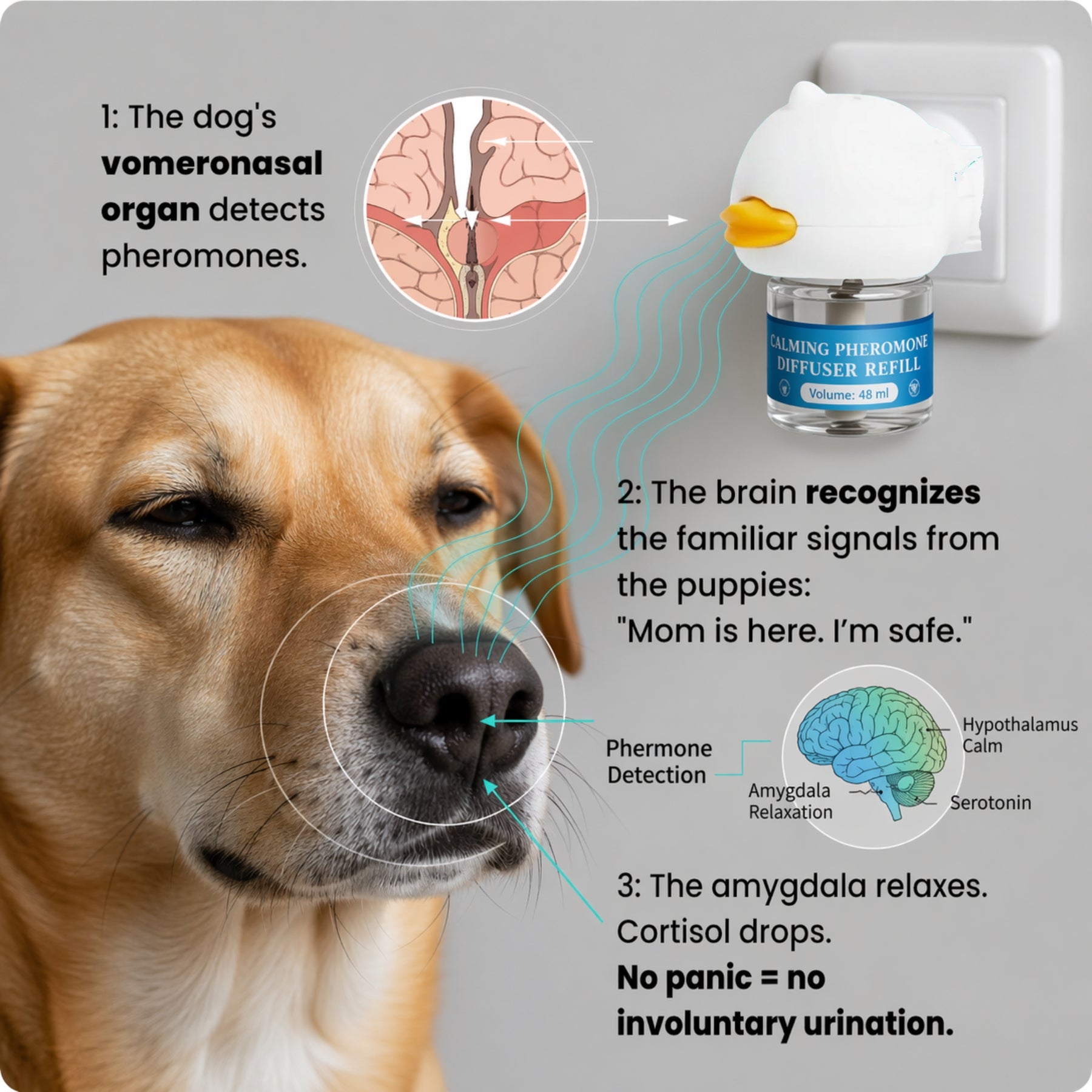Branton™ - Stop Indoor Peeing – Dog Calming Pheromone Diffuser