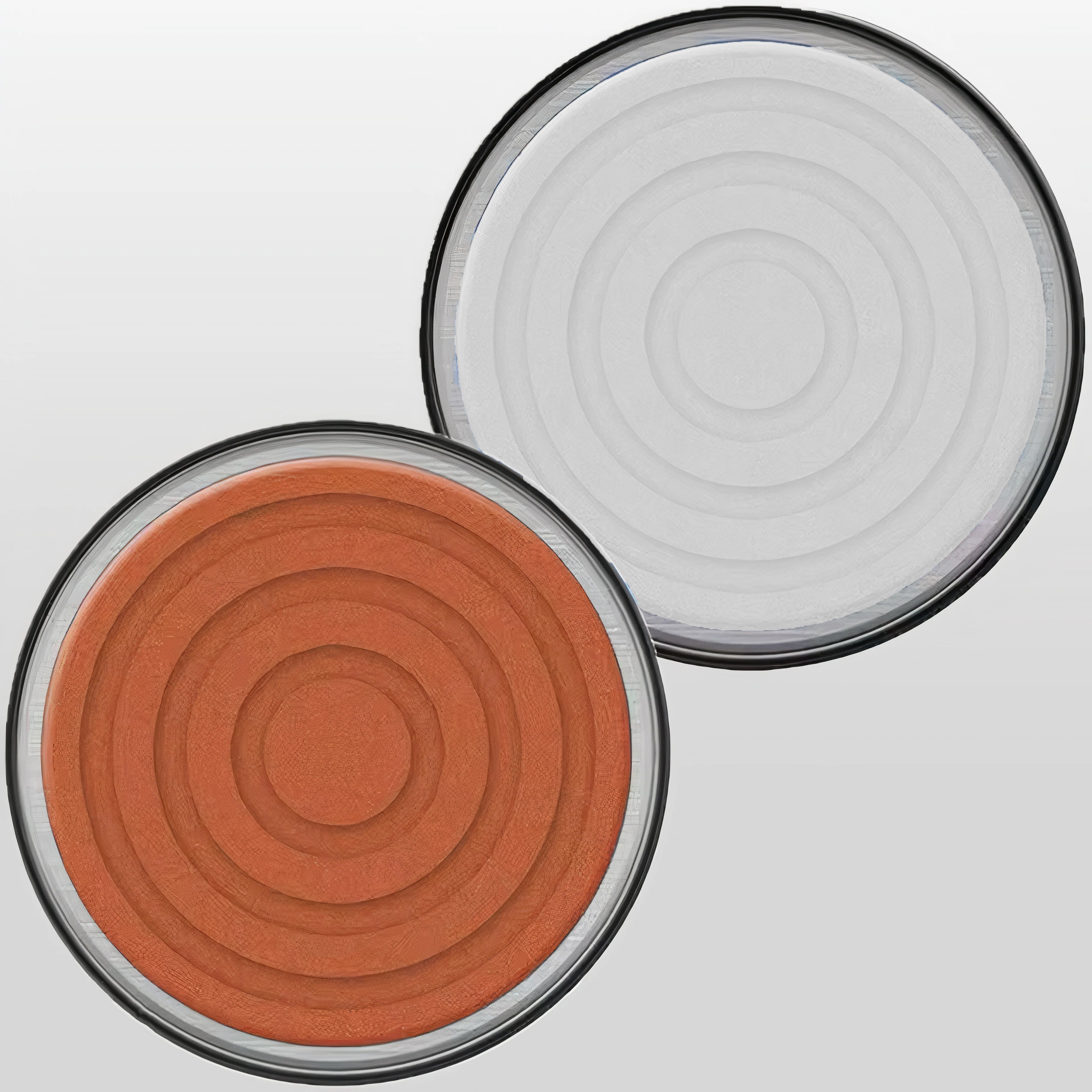 Japanese Whetstone Accessory Kit – 240 Grit & 3000 Grit for Knife Sharpeners